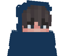 cdct's skin