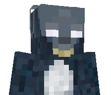 iNeoBrr's skin
