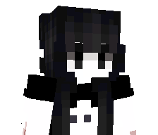 E1fik's skin