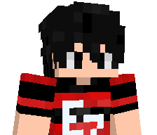 PIZIeasy's skin