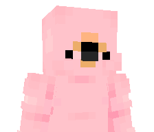 TexXisAMAZING's skin