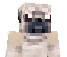 benplascencia's skin