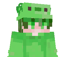 Has1k43's skin