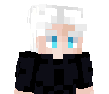 aarrxn's skin