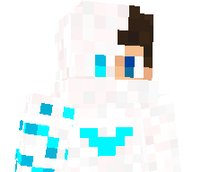 xSweCamera's skin