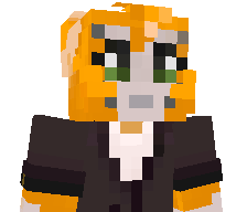 TripleKFan911's skin