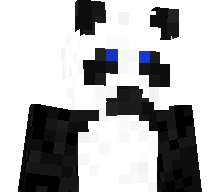 WeirdGiantPanda's skin