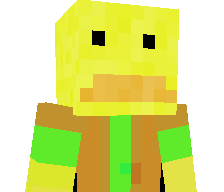 ADANGDUCK's skin