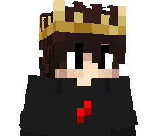 NIKST4R's skin