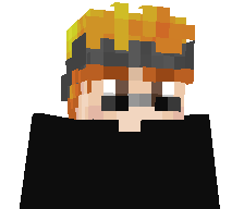 pr0texion's skin