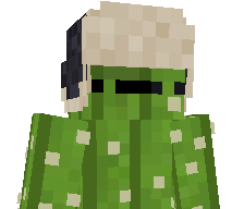 TorpidDash_MC's skin