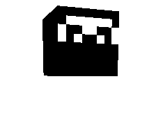 erloader's skin