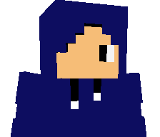 Stecejito's skin