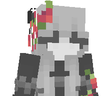 561k's skin