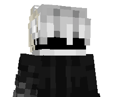 icedwarriorx's skin