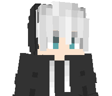 HighVoxel's skin