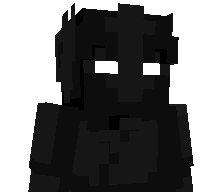 Riskqify's skin