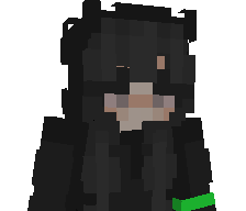WindPhoenix's skin