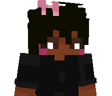 Cheeseking2121's skin