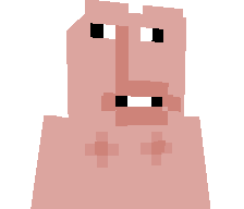NDSCAT's skin