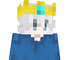 leon2345_ita's skin