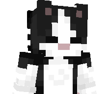 H6s's skin