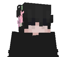 schnitzel4's skin