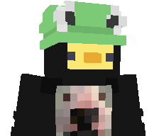 Duck2064's skin
