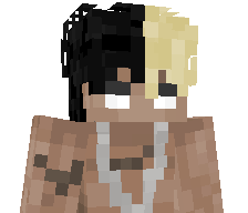 zlotylisek1's skin