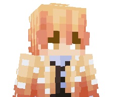 BraydenPlaysMCSB's skin