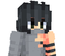 BattleProfi's skin