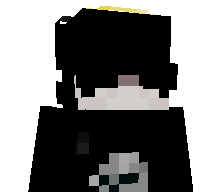 wildsit00's skin
