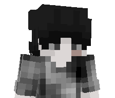 bundeszollamt's skin