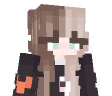 CubeBrownBear's skin