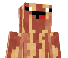 BaconBros123's skin