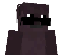 vcs's skin