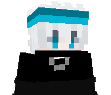 LartzN's skin