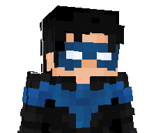 DcNightwing7118's skin