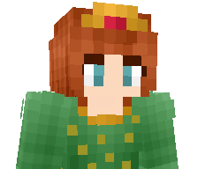 ZoWarudoLT's skin