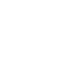 V1tim1v5's skin