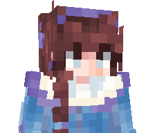 DuckedMC's skin
