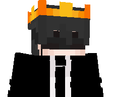 Rudrx6t9's skin