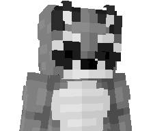 singingracc00n's skin