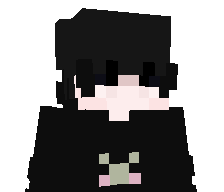 DingDong1795's skin