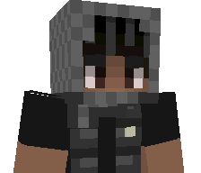 PaySav's skin