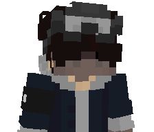 JustF1's skin