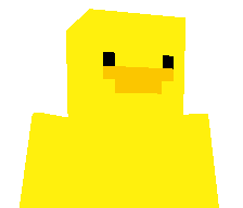 maybe_duck_idk's skin