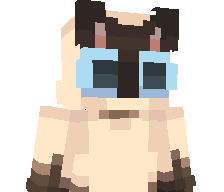 PredekX21's skin