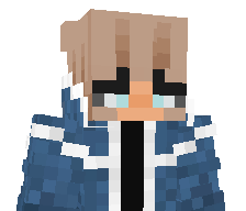 Minecraft1179's skin