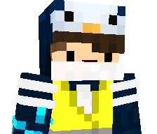 Tiwix4Life's skin